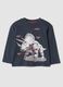 T-shirt grigia girocollo in puro cotone organico con stampa dinosauro_0
