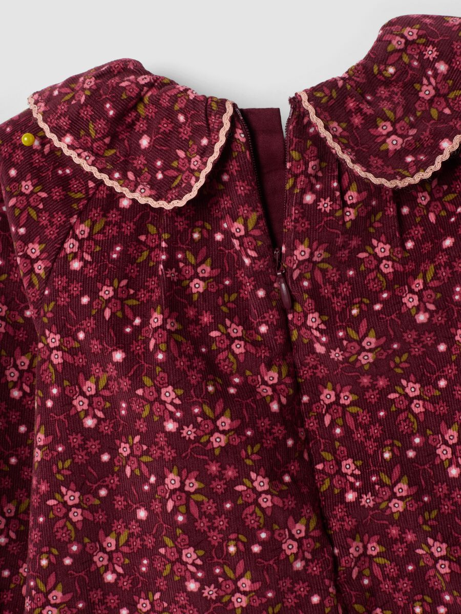 Burgundy red floral pure cotton crew-neck dress, regular fit_3