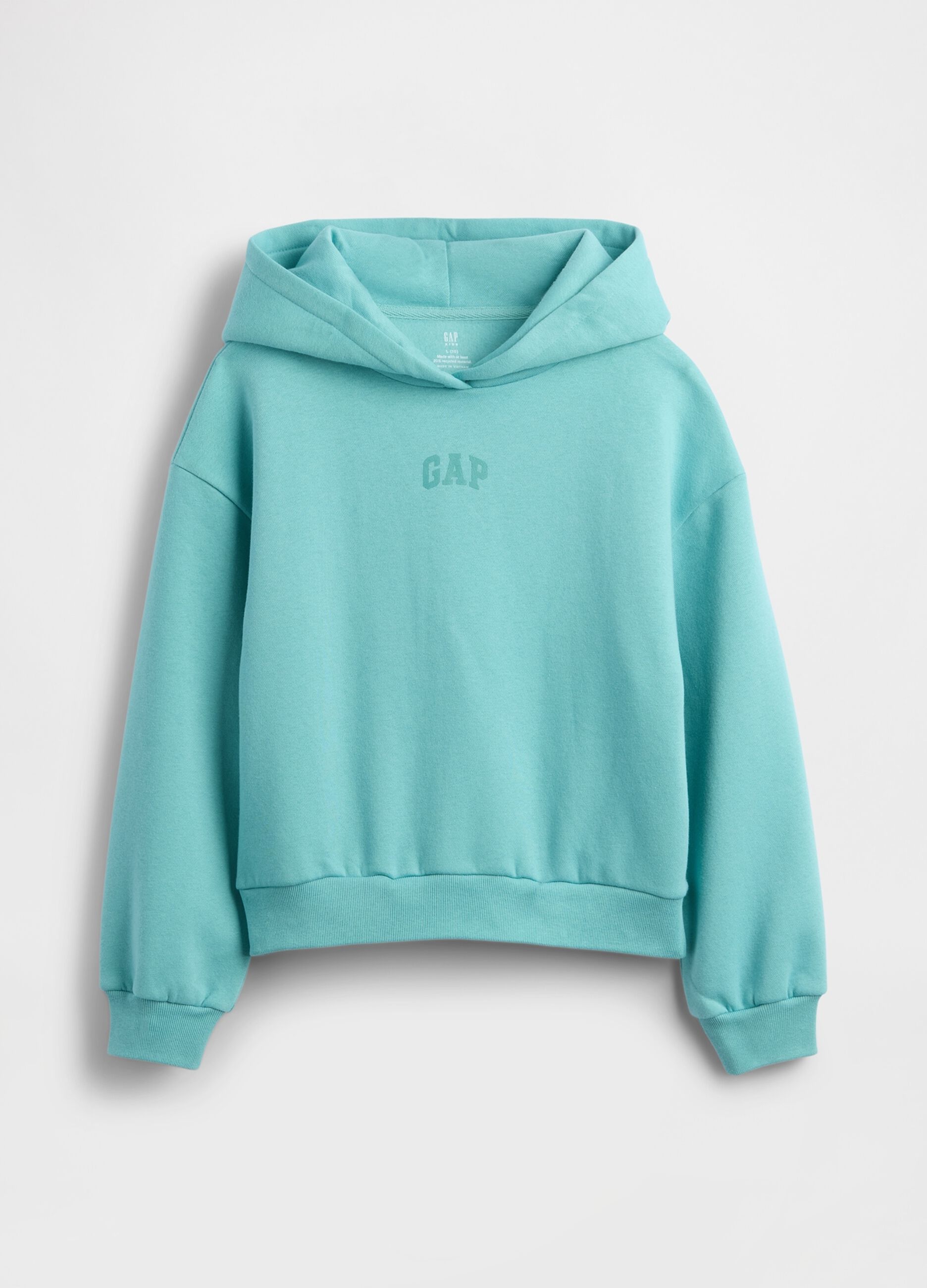 Blue Hoodie