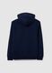 Solid colour hoodie_2