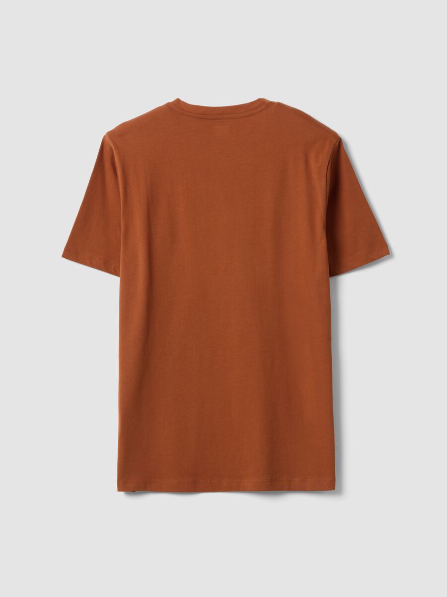 Brown regular-fit T-shirt in pure organic cotton jersey_1