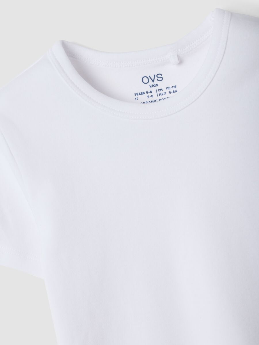2-pack of white crew-neck T-shirts in pure organic cotton_2