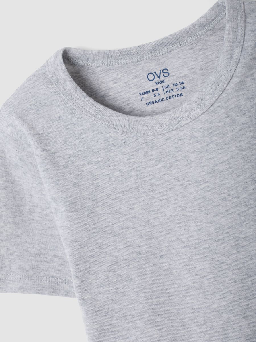 2-pack white and grey crew-neck T-shirts in pure organic cotton_2