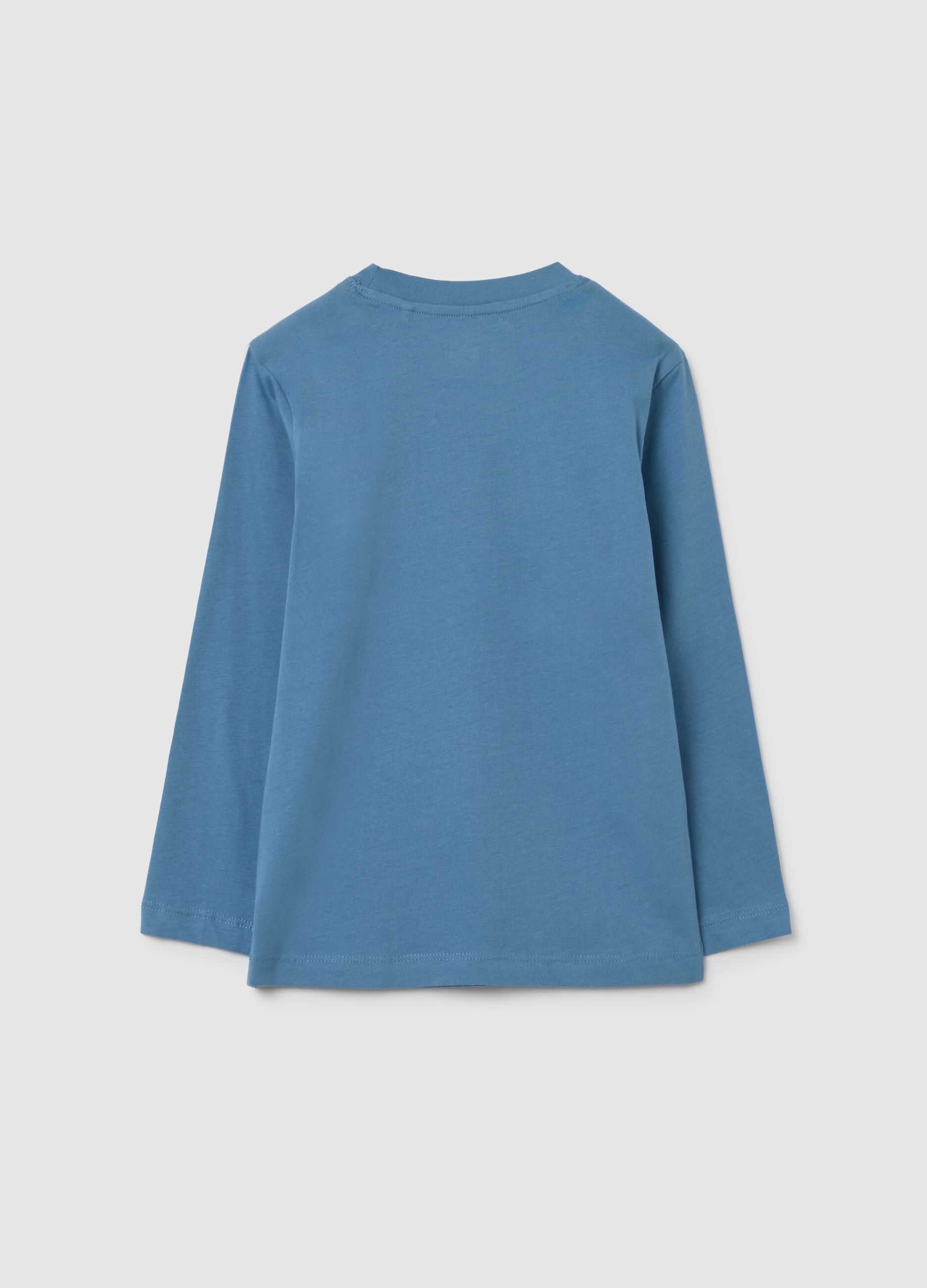 Children's blue cotton T-shirt, regular fit with print