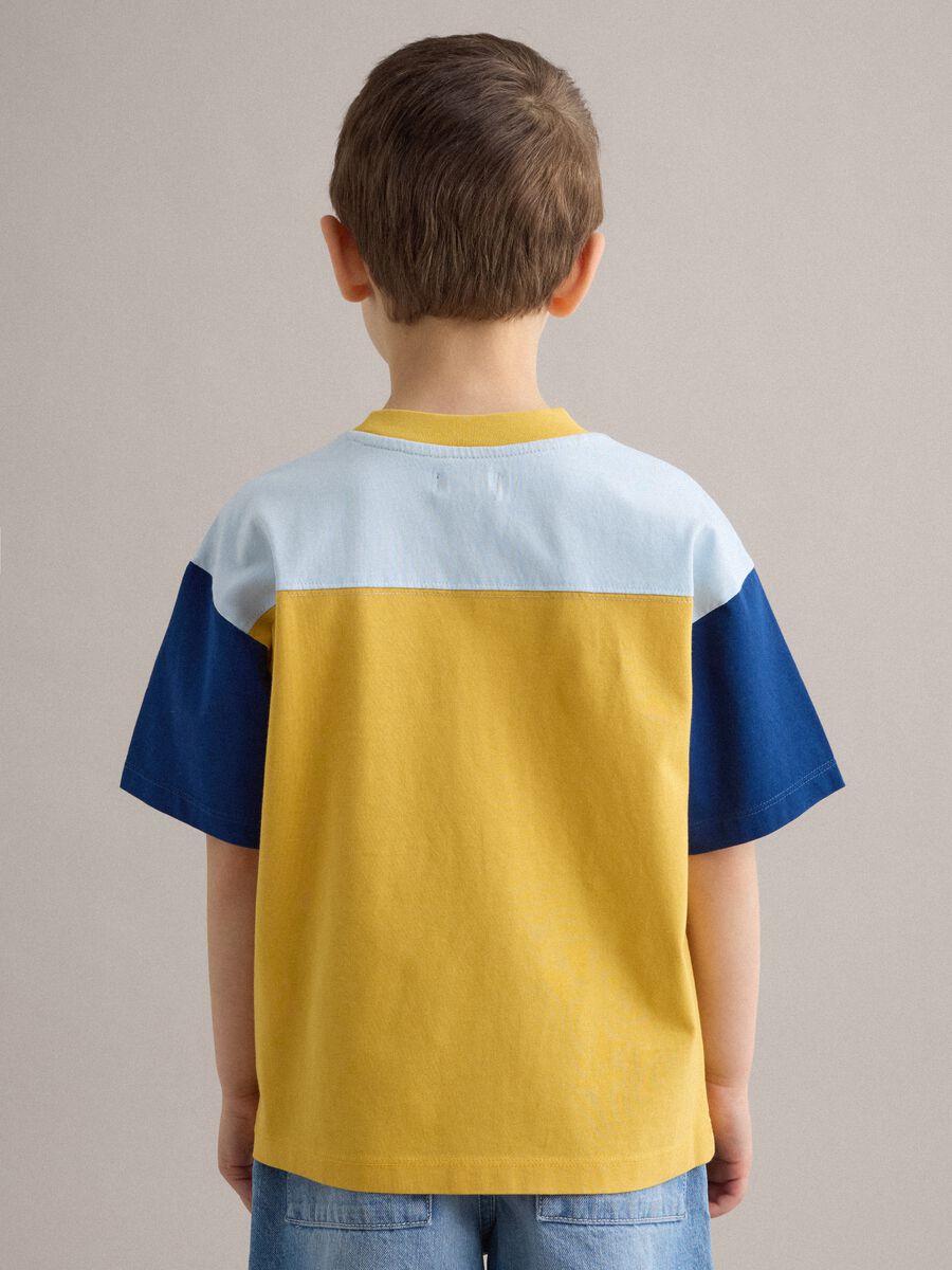 Multicolour pure cotton children's t-shirt regular fit with number 23_1