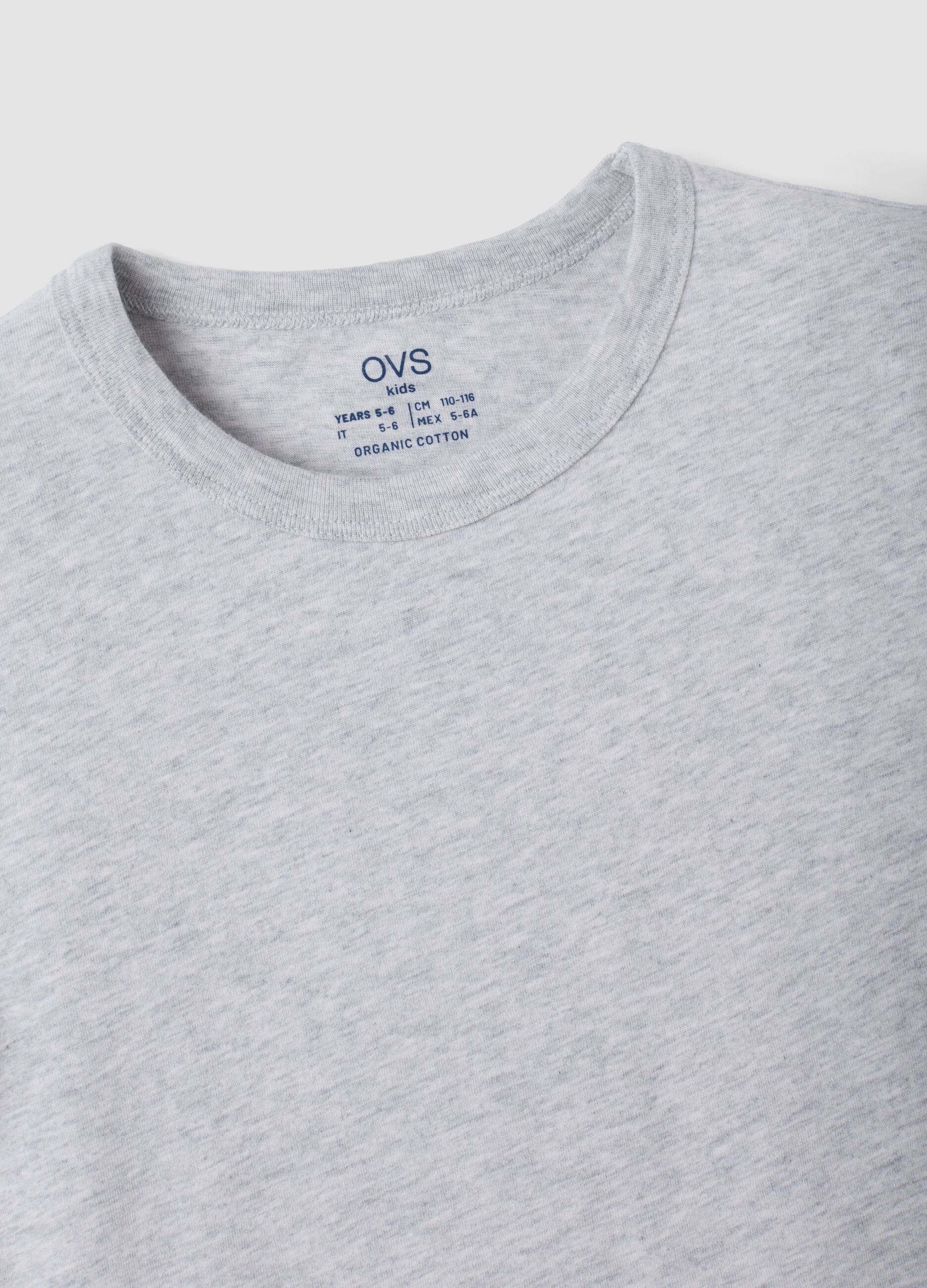 2-pack grey and blue crew-neck T-shirts in pure organic cotton