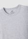 2-pack grey and blue crew-neck T-shirts in pure organic cotton_2
