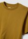 Brown short-sleeve pure cotton T-shirt, regular fit_5