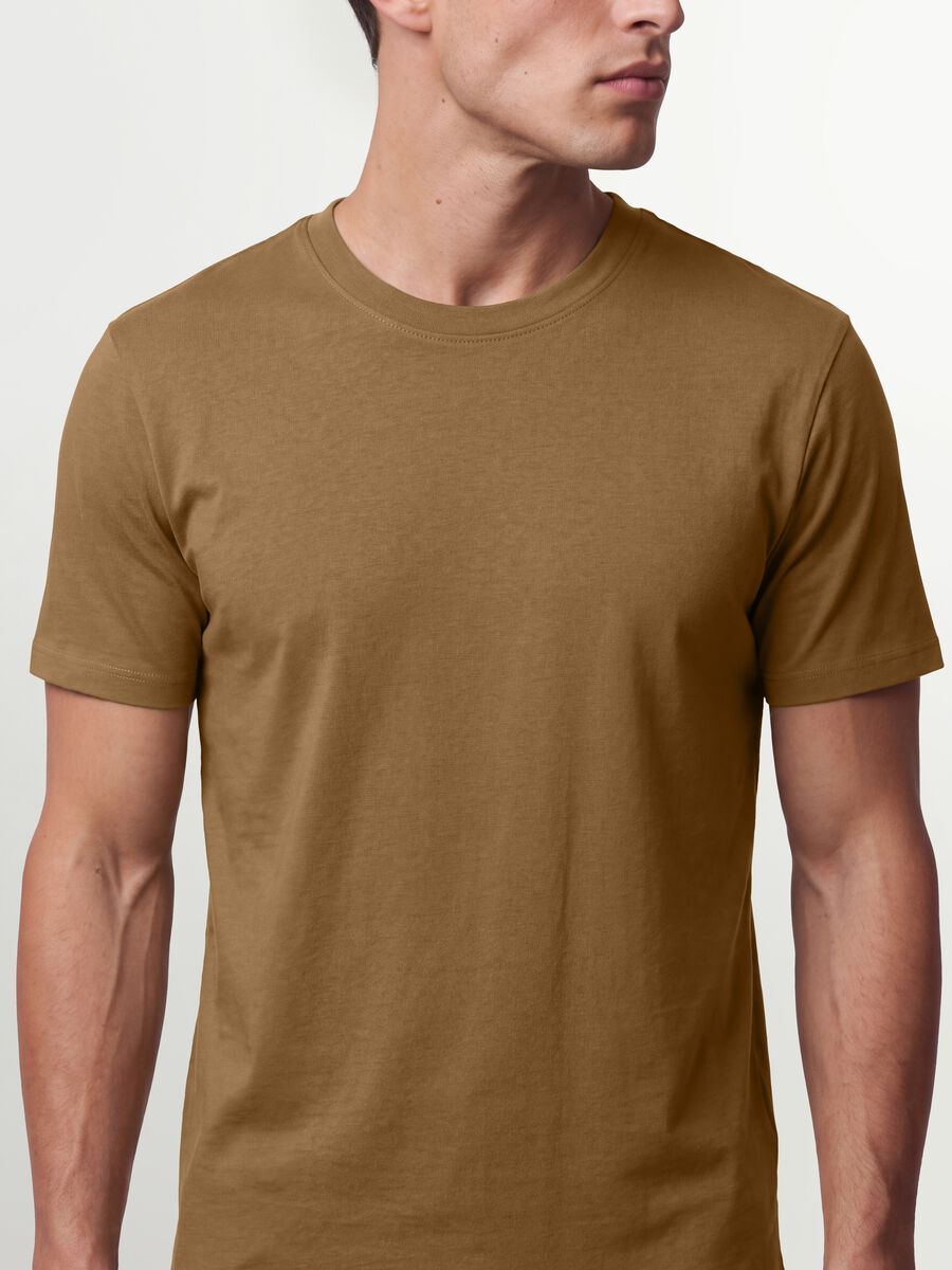 Brown pure organic cotton jersey T-shirt, regular fit_1