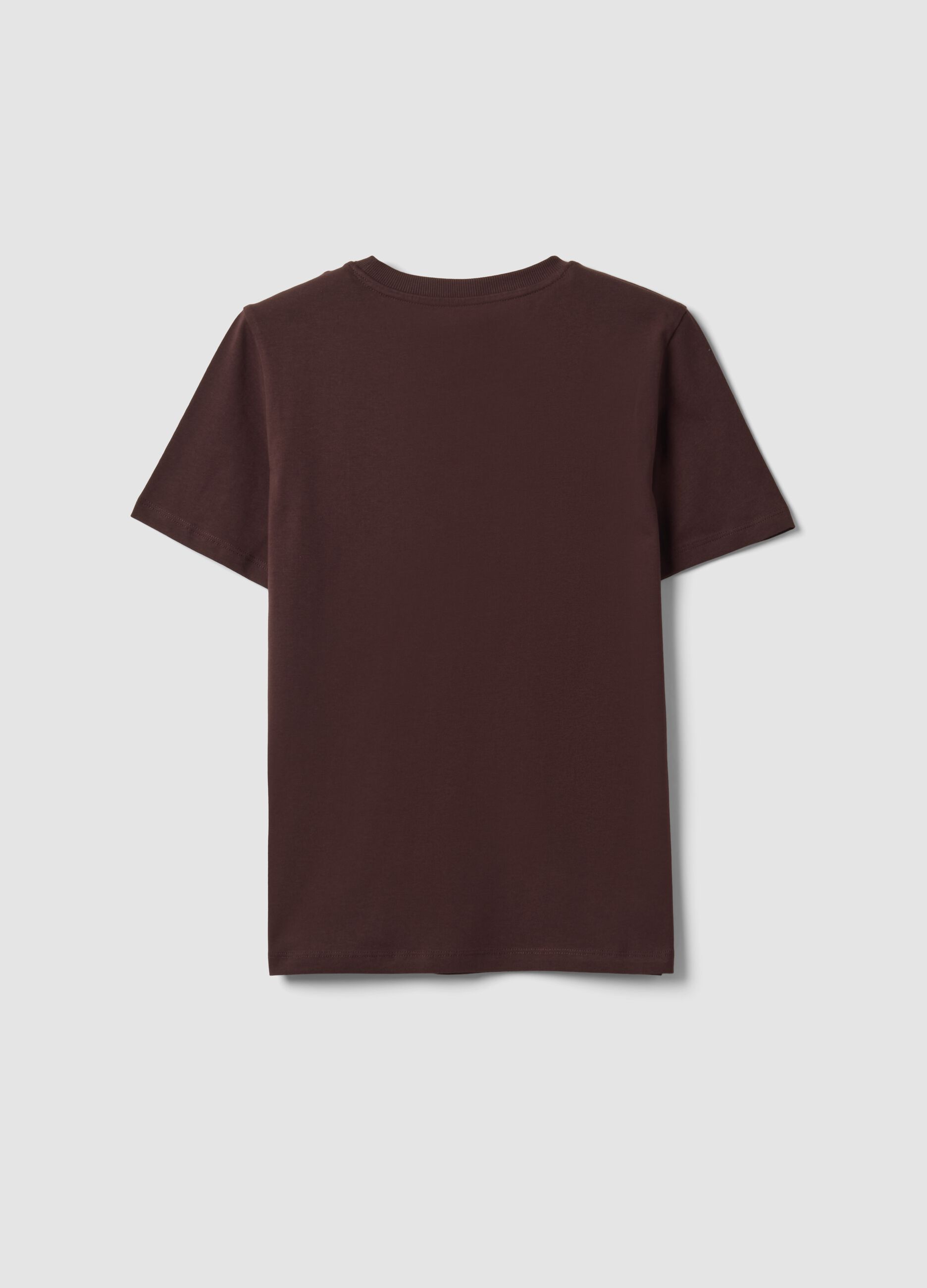Brown crew-neck T-shirt in pure organic cotton, regular fit