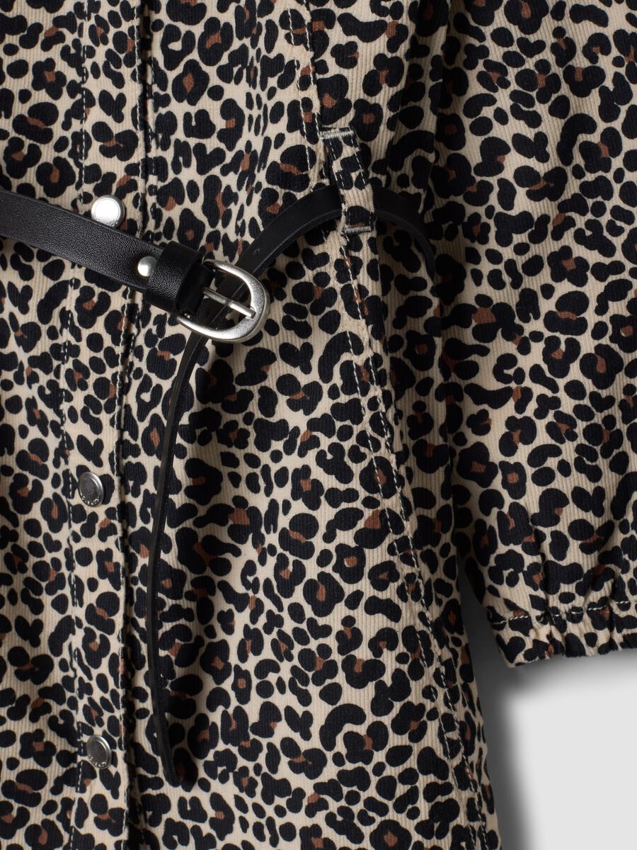 Pure cotton animal print dress with collar, regular fit_3