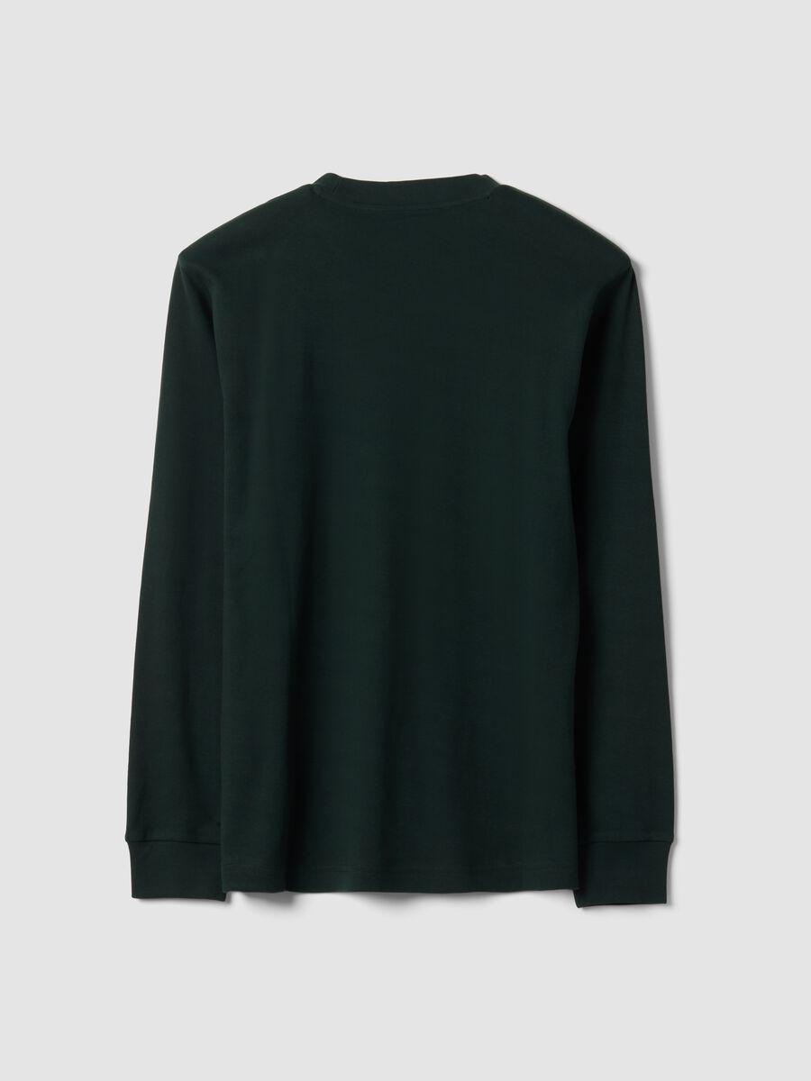 Green pure cotton crew-neck T-shirt, regular fit_2