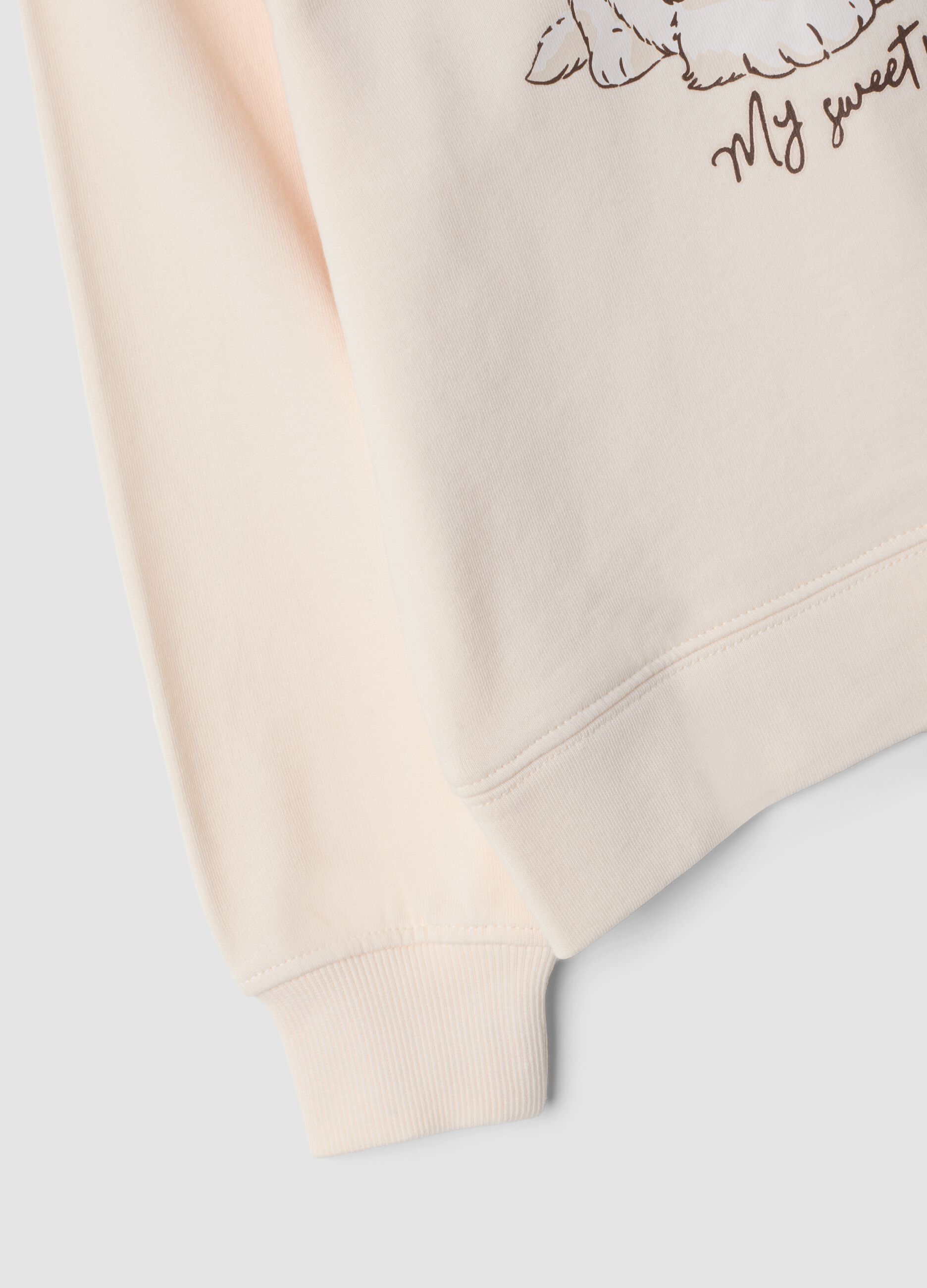 Beige pure cotton sweatshirt with crew neck and puppy print