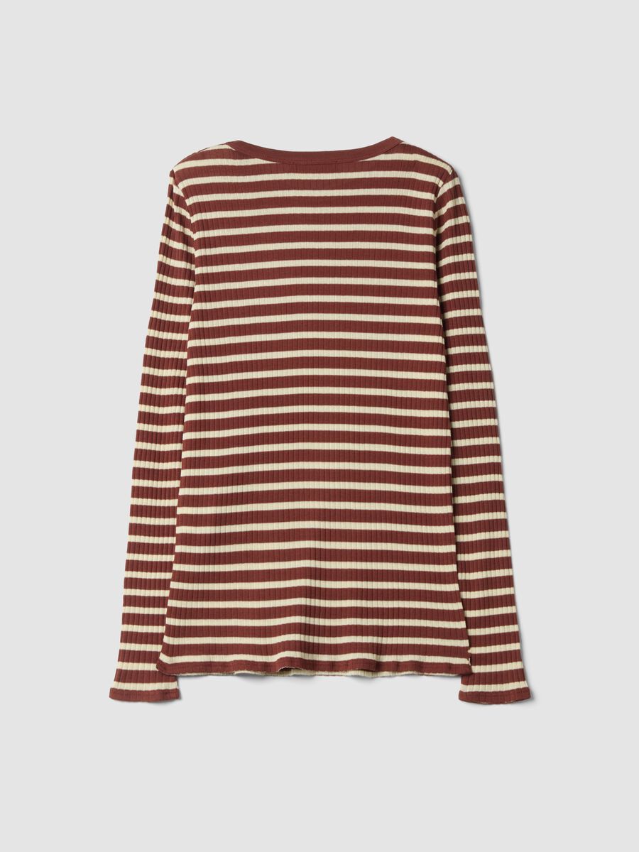 Brown striped pure cotton ribbed regular-fit T-shirt_6