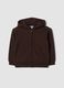 Felpa marrone con cappuccio in puro cotone organico regular fit_0