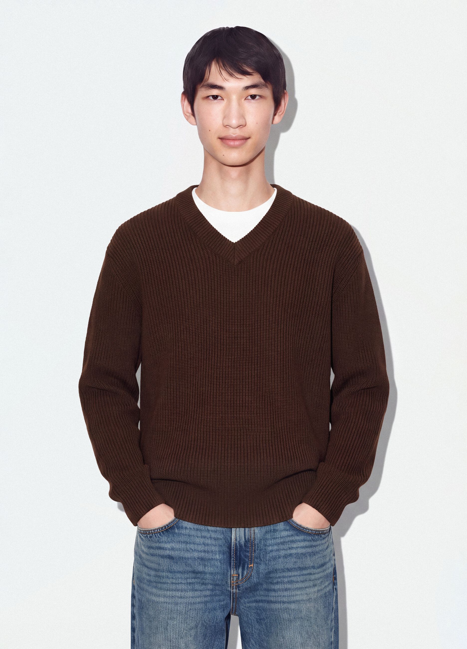 Brown pure cotton jumper with deep V-neck, regular fit