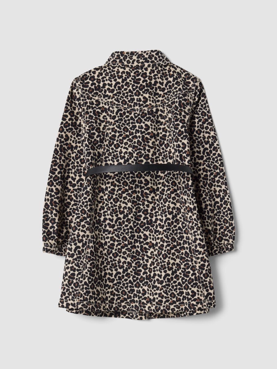 Pure cotton animal print dress with collar, regular fit_1