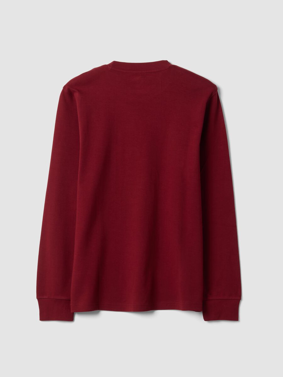 Red pure cotton crew-neck T-shirt, regular fit_2