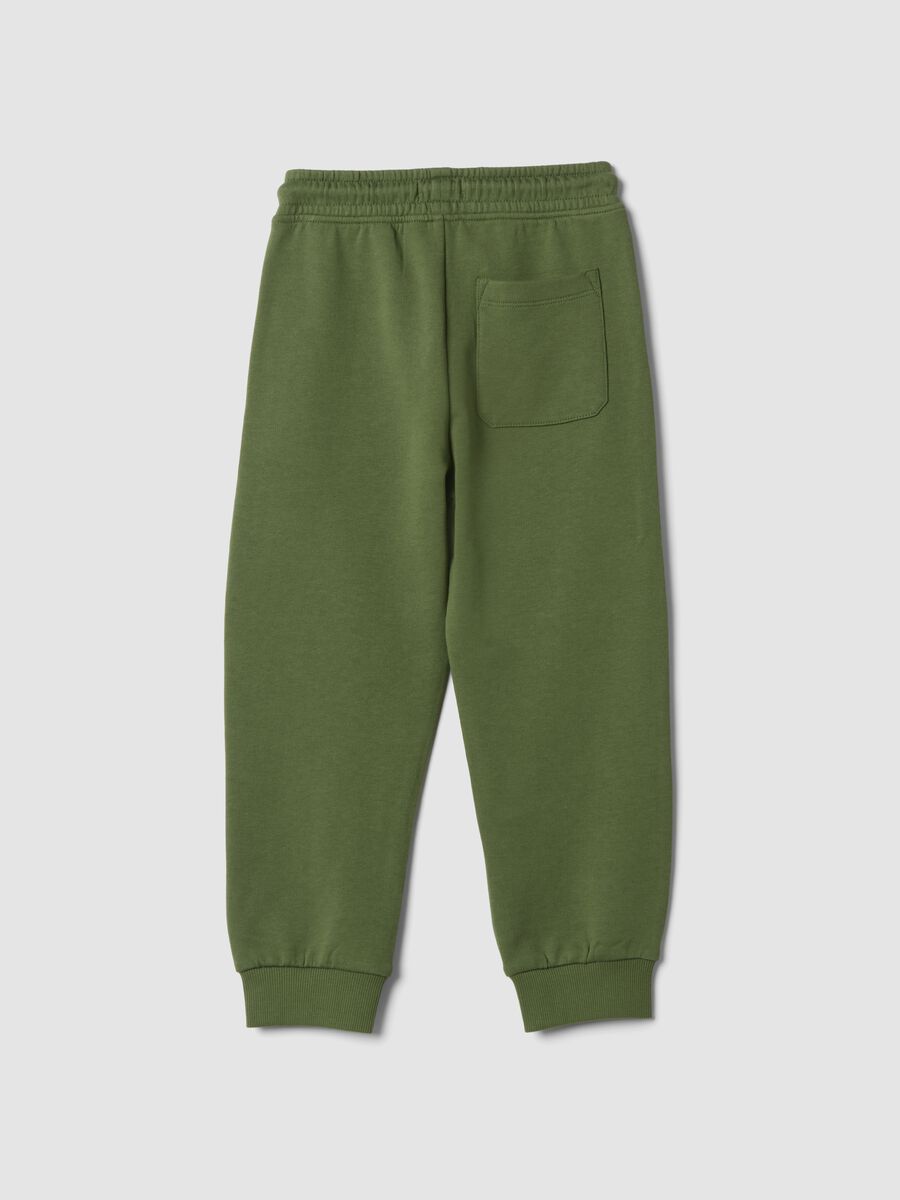 Green pure cotton joggers, regular fit_1