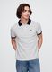 Striped Polo Shirt_0