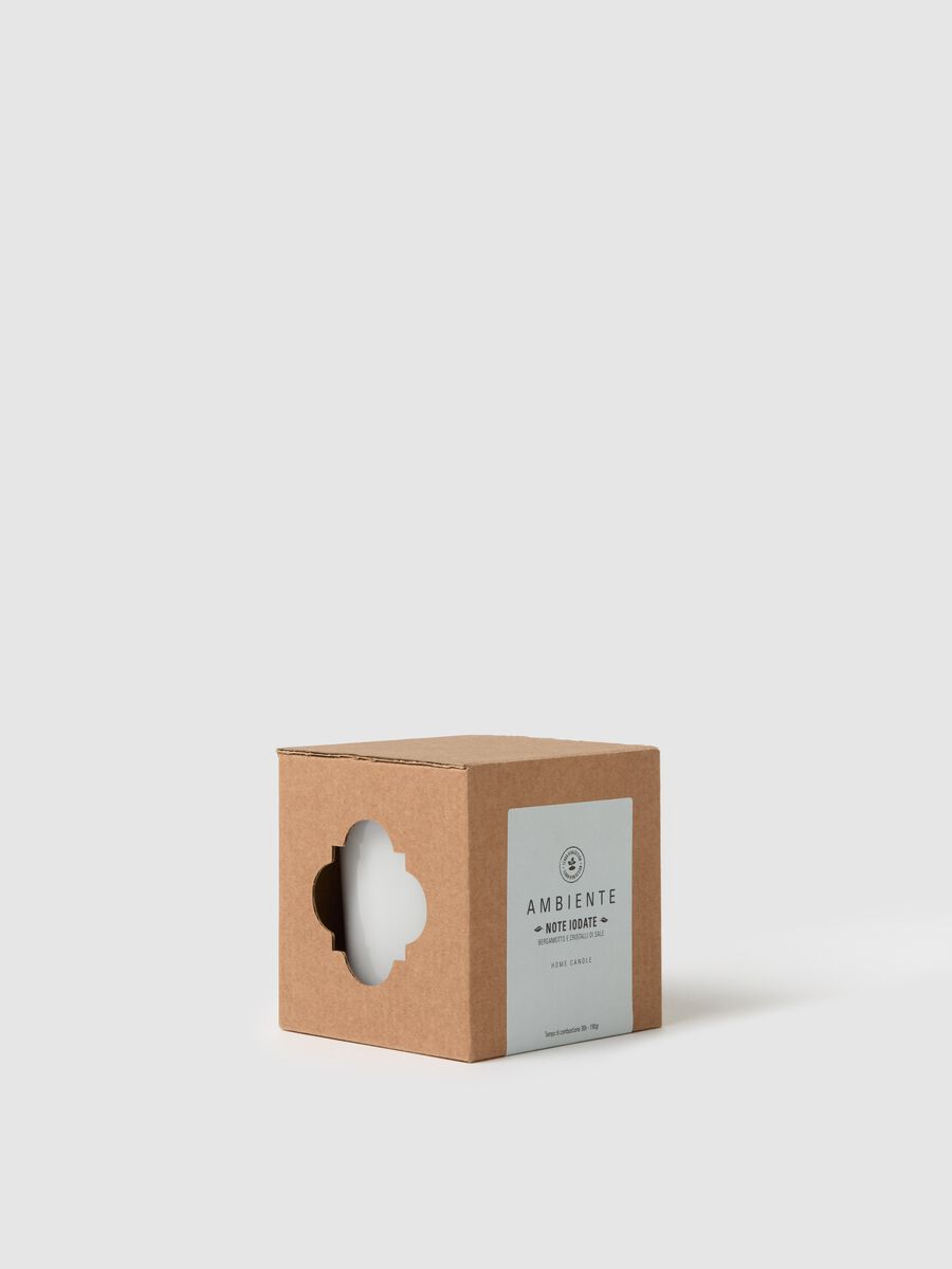 Ambient Candle "Iodized Notes"_2