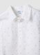 Multicolour pure cotton shirt and shorts set for baby boys_2