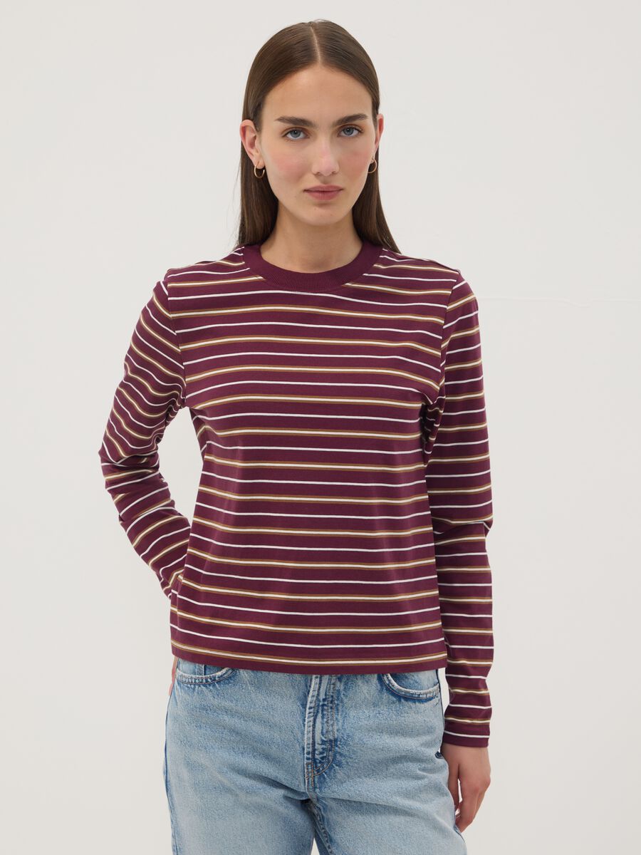 Multicolour pure cotton striped crew-neck T-shirt, regular fit_1