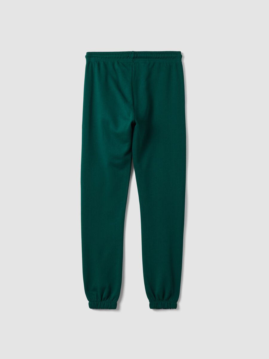 Green cotton jogger trousers, regular fit_1