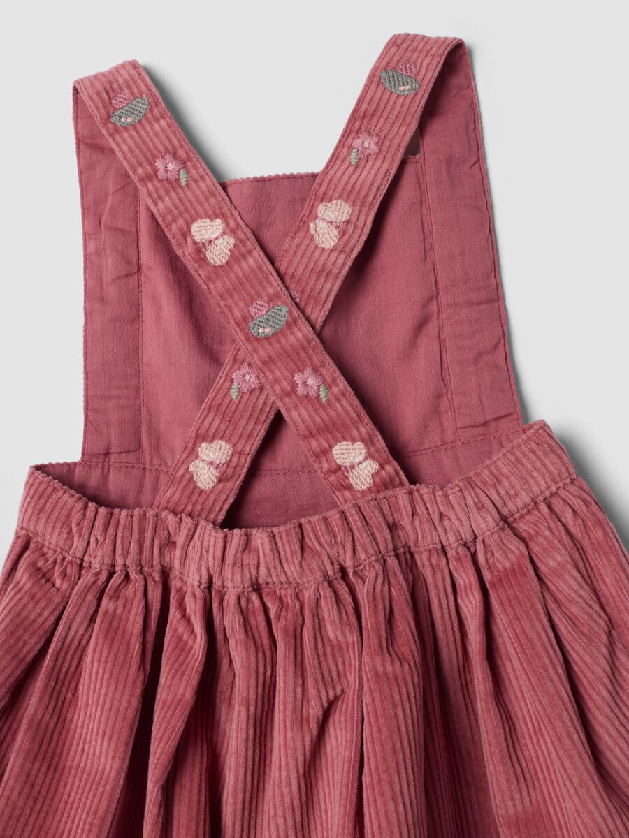 Pink pure cotton dress with ribbed square neckline, regular fit_3