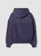 Hoodie Sunfaded Dark Twilight_1