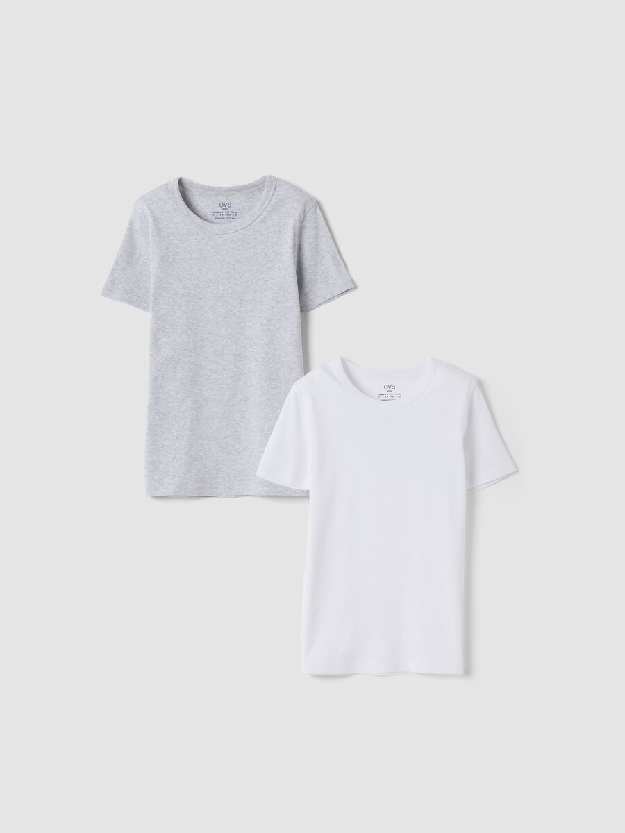 2-pack white and grey crew-neck T-shirts in pure organic cotton_0