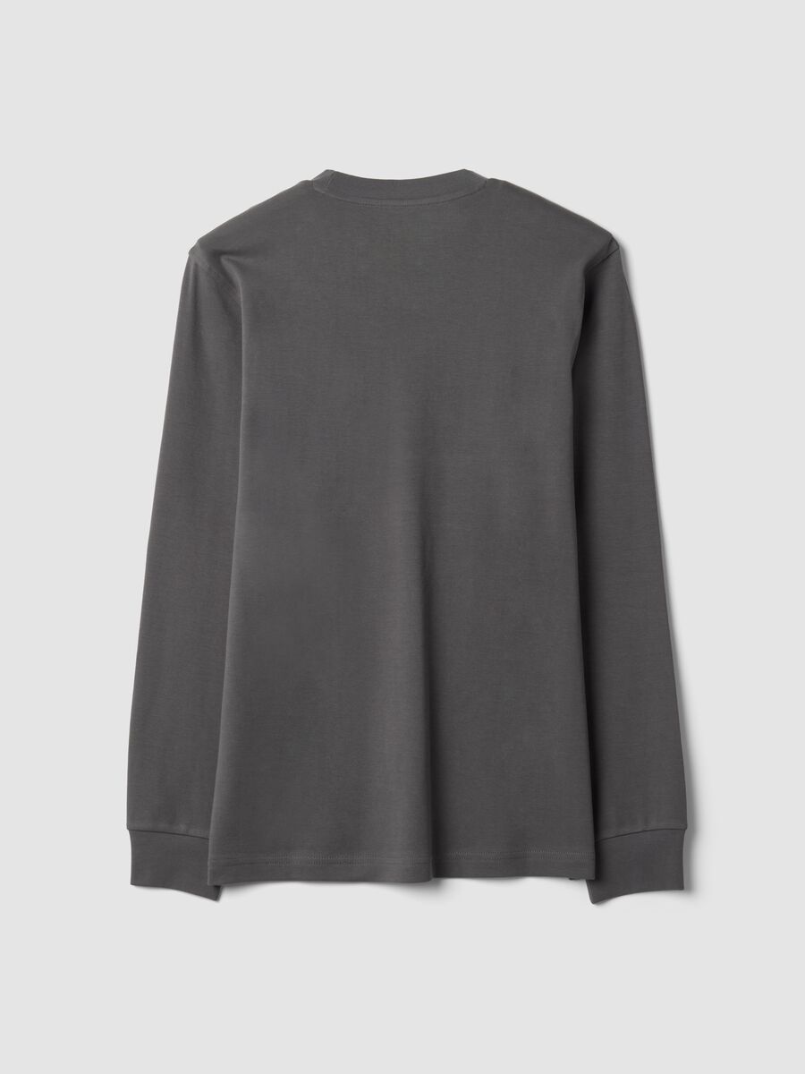 Grey pure cotton crew-neck T-shirt, regular fit_2