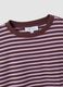 Purple striped pure cotton T-shirt with crew neck, relaxed fit_1