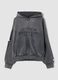 Full-zip Hoodie Sunfaded Grey_0