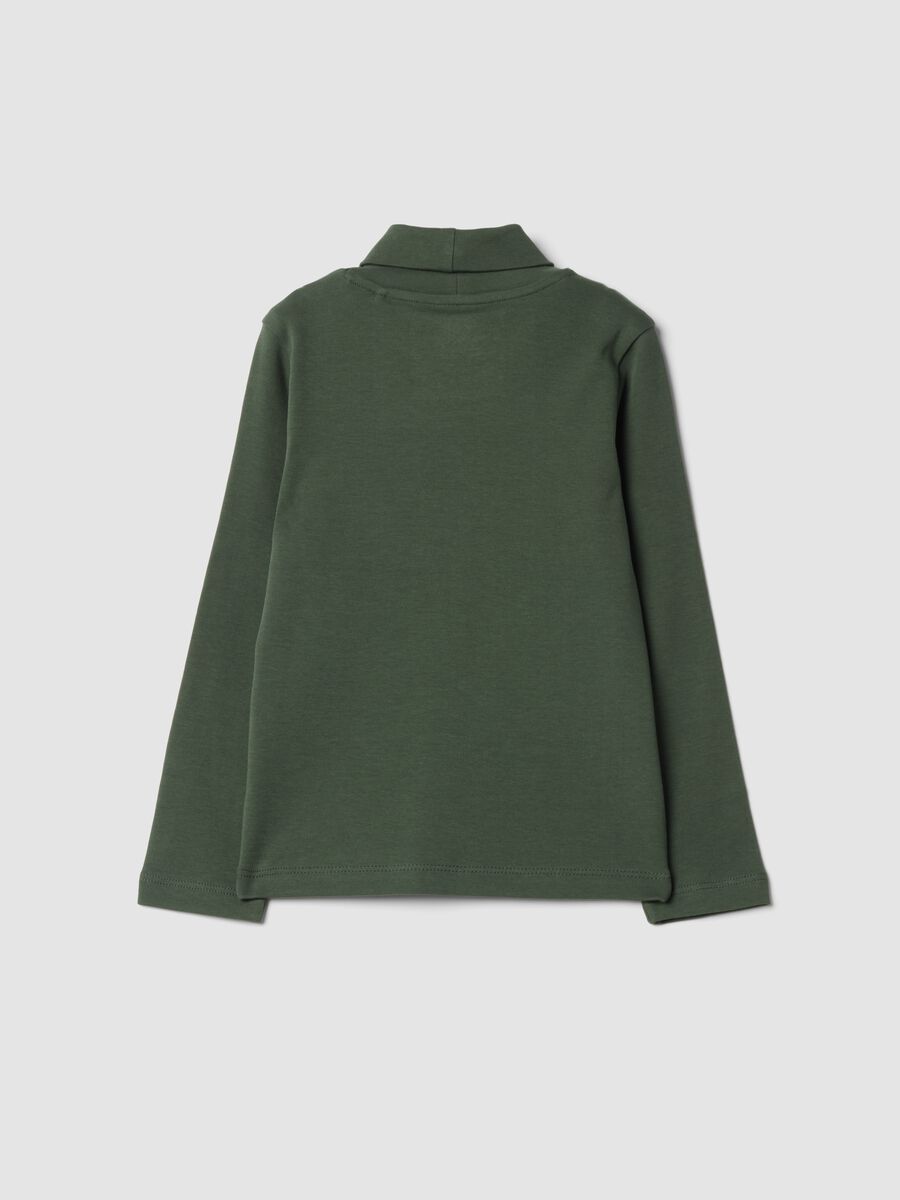 Forest green organic cotton roll-neck jumper_1