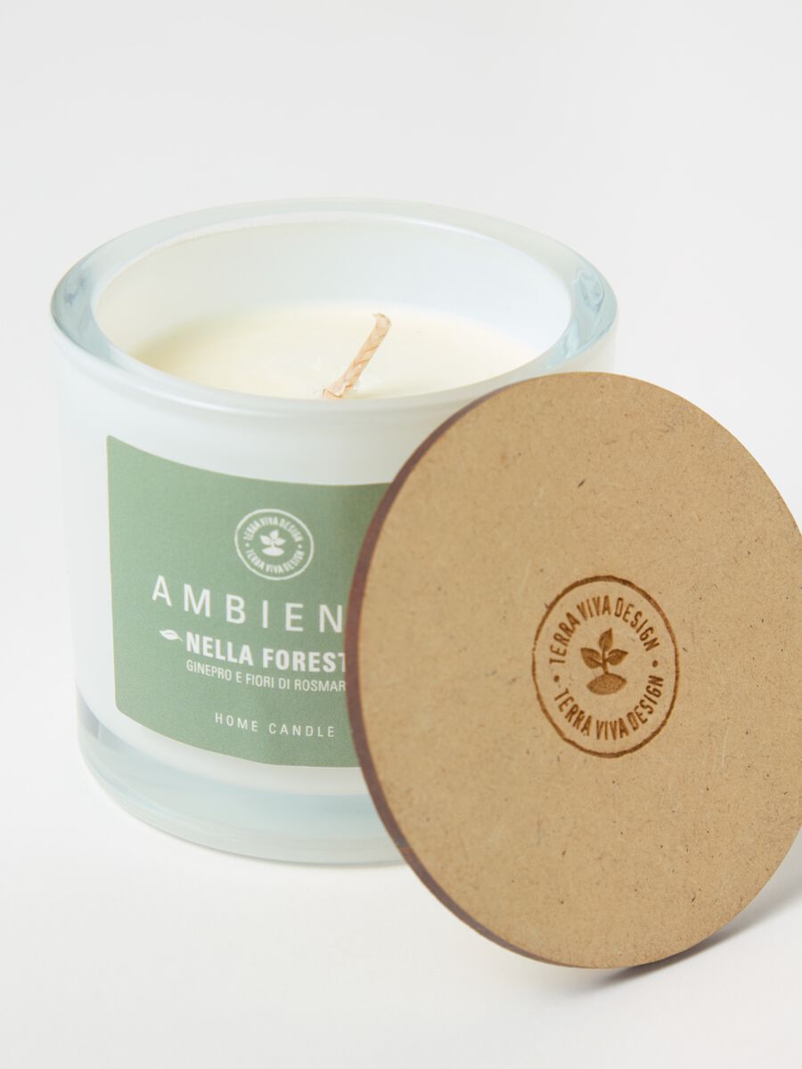 Ambient Candle "In the Forest"_1