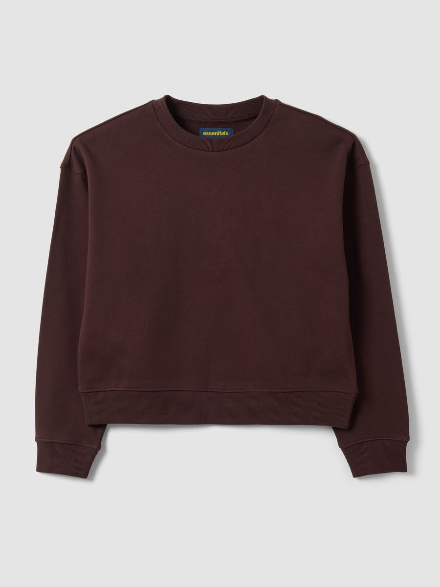 Brown cotton-blend crew-neck sweatshirt, regular fit_0