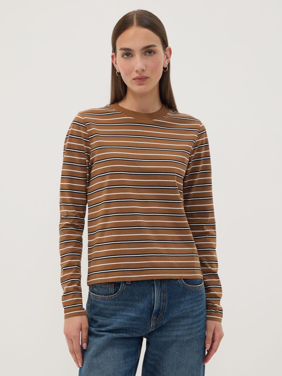Multicolour pure cotton striped crew-neck T-shirt, regular fit_1