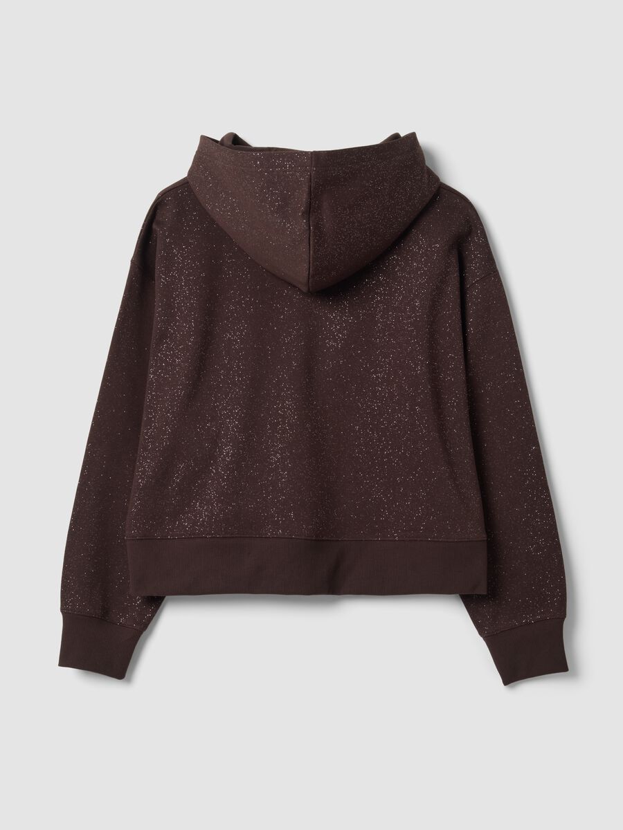 Brown cotton-blend hoodie with crew neck_2