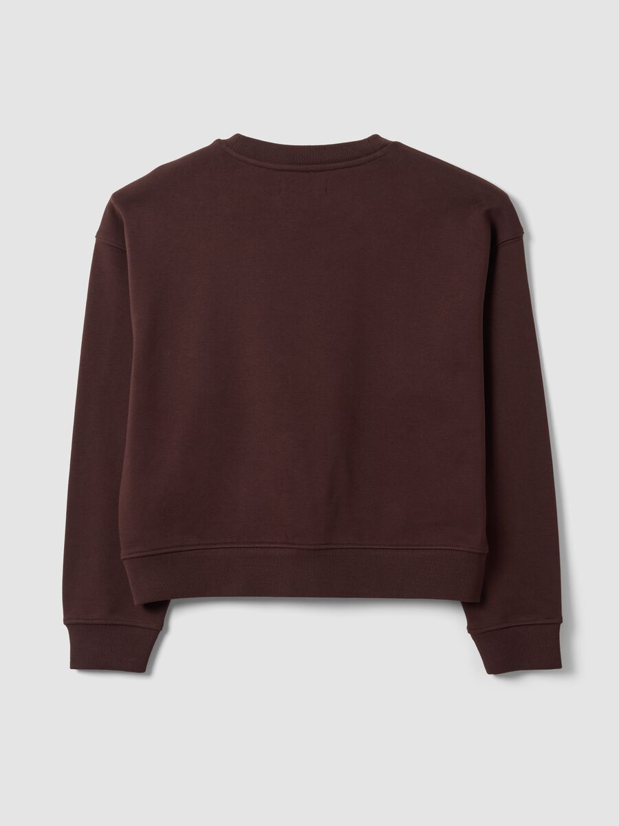 Brown cotton-blend crew-neck sweatshirt, regular fit_2