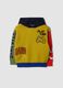 Mustard yellow, navy, red and sage green viscose-blend hooded crew-neck jumper_0