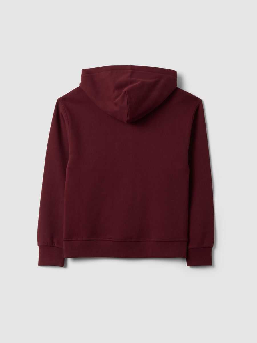 Brown organic cotton hoodie sweatshirt, relaxed fit_1
