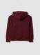 Brown organic cotton hoodie sweatshirt, relaxed fit_1