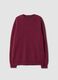 Red crew-neck jumper in pure wool, regular fit_0