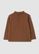 Maglia marrone scuro in puro cotone organico con dolcevita_1