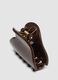 Glossy Brown Hair Clip_1