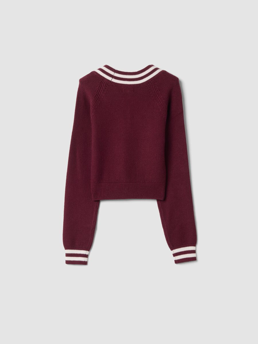 Red Viscose-Blend V-Neck Jumper, Regular Fit_2