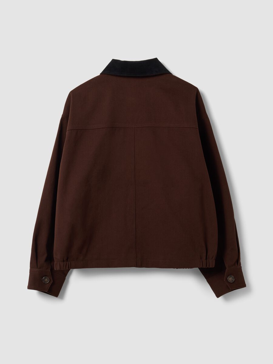 Brown pure cotton bomber jacket with contrasting collar, regular fit_1