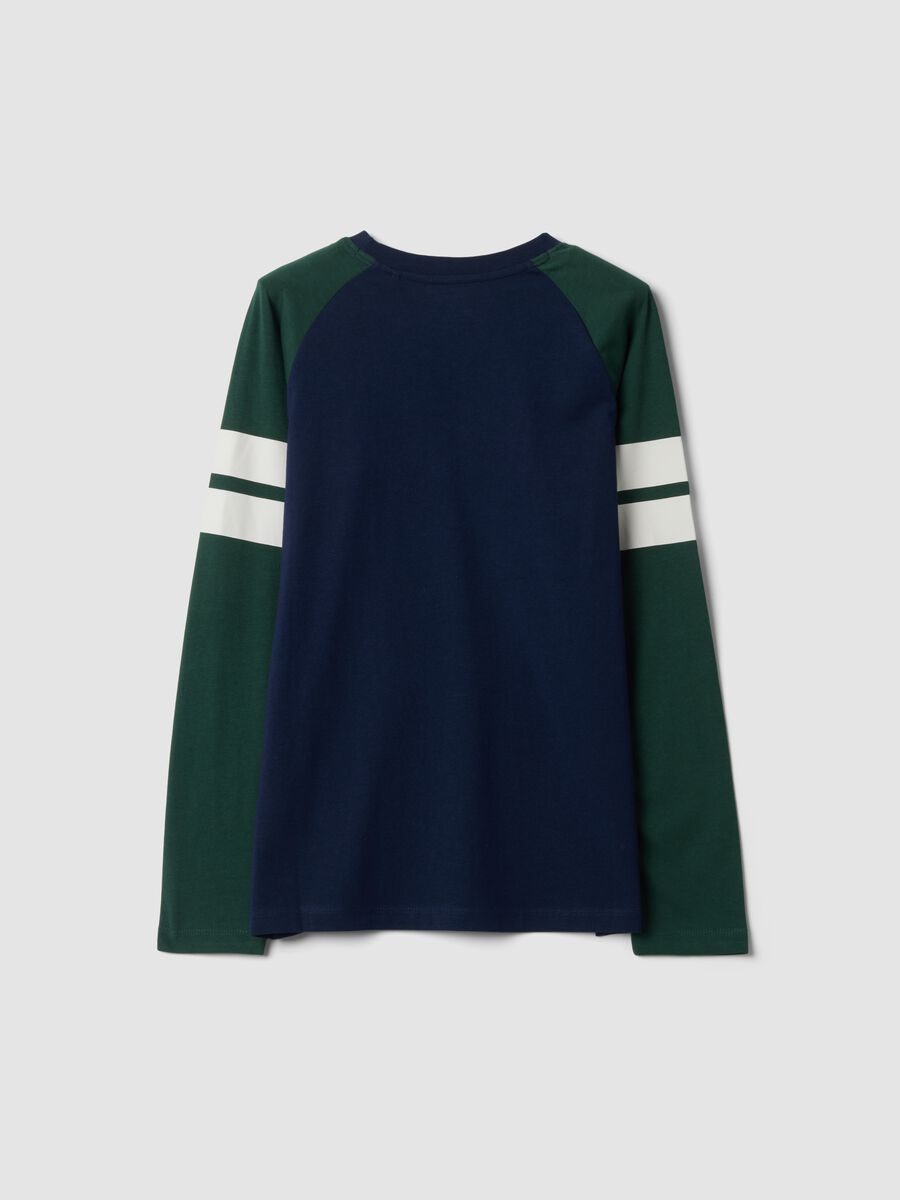 Blue organic cotton crew-neck T-shirt_5