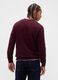 Purple Cotton Blend Sweater_1